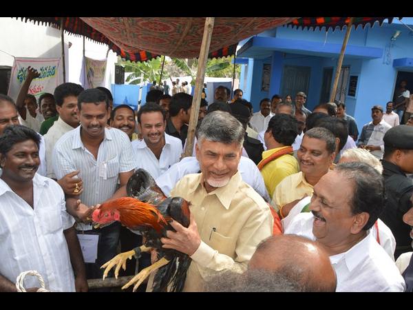 చంద్రబాబు ఇలా..
