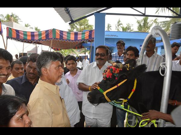 చంద్రబాబు ఇలా.