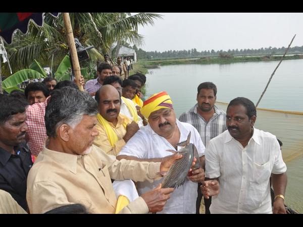చంద్రబాబు ఇలా..