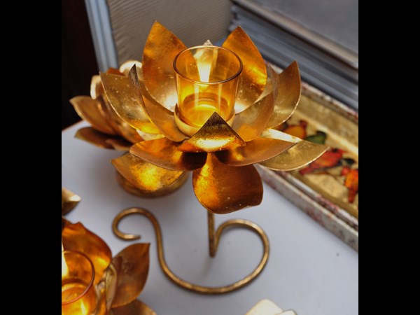 వధువుల కోసం 