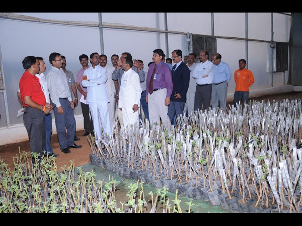 కేసీఆర్