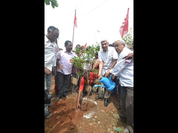 మొక్కలు నాటి...