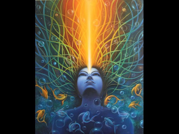 ఫొటో ఎగ్జిబిషన్