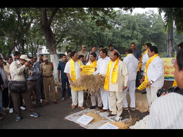 తెలంగాణ టీడీపీ