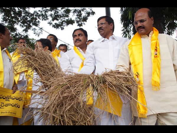 తెలంగాణ టీడీపీ