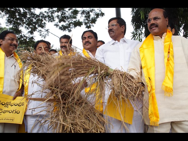 తెలంగాణ టీడీపీ