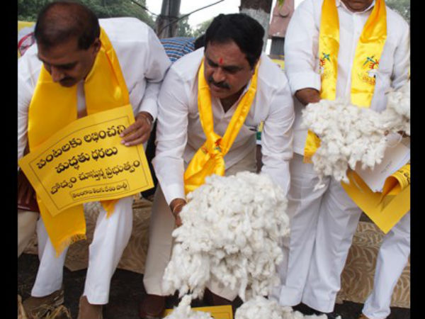 తెలంగాణ టీడీపీ