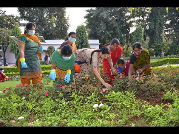 విమలా నరసింహన్