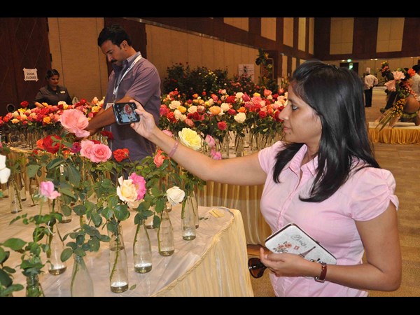  హైటెక్స్‌లోని హెచ్‌ఐసీసీలో గులాబీ షో... 