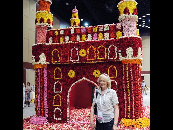 హైటెక్స్‌లోని హెచ్‌ఐసీసీలో గులాబీ షో... 