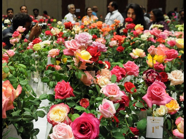 హైటెక్స్‌లోని హెచ్‌ఐసీసీలో గులాబీ షో... 