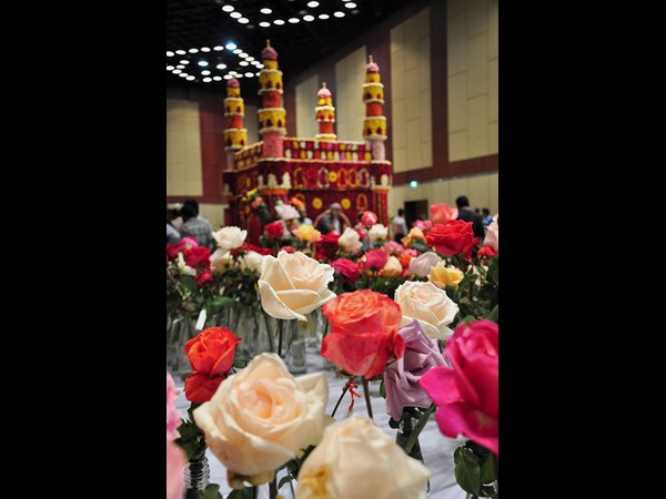  హైటెక్స్‌లోని హెచ్‌ఐసీసీలో గులాబీ షో... 