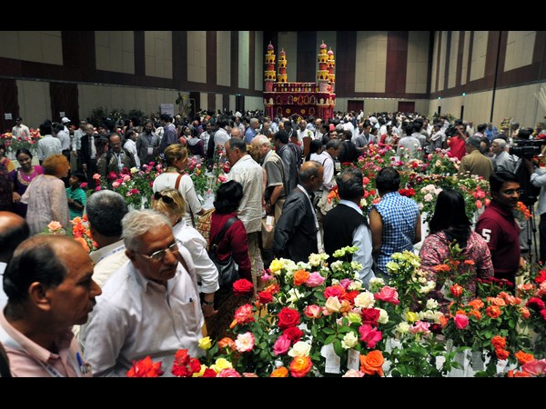 హైటెక్స్‌లోని హెచ్‌ఐసీసీలో గులాబీ షో... 