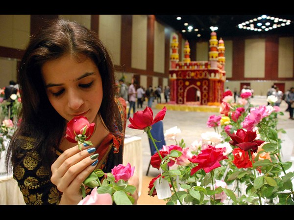 హైటెక్స్‌లోని హెచ్‌ఐసీసీలో గులాబీ షో... 