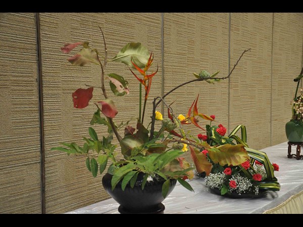 హైటెక్స్‌లోని హెచ్‌ఐసీసీలో గులాబీ షో... 