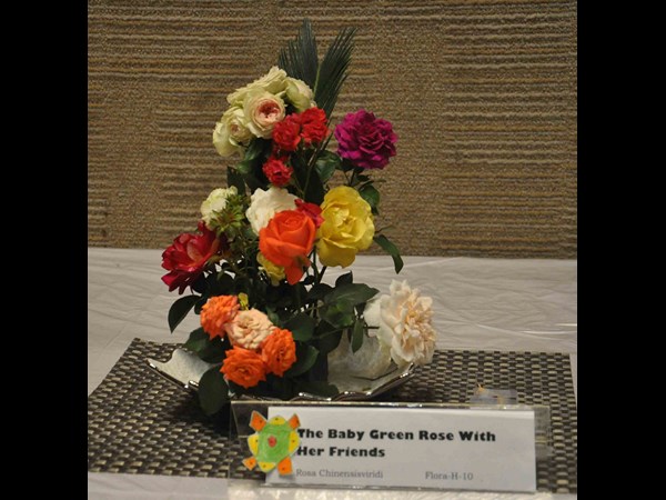 హైటెక్స్‌లోని హెచ్‌ఐసీసీలో గులాబీ షో... 