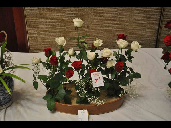  హైటెక్స్‌లోని హెచ్‌ఐసీసీలో గులాబీ షో... 