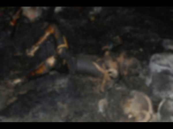 Fire accident in Hut, 2 children die in Hyderabad
