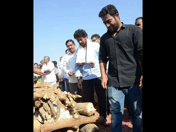 జూ.ఎన్టీఆర్ జూ.ఎన్టీఆర్