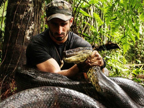 Eaten alive ratings: 4.1 million viewers watch Paul Rosolie get not eaten by Anaconda Eaten alive ratings: 4.1 million viewers watch Paul Rosolie get not eaten by Anaconda