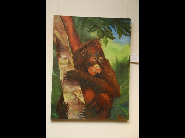  రాధా వల్లూరి 