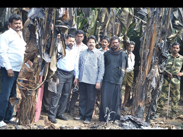 లింగాయపాలెంలో..