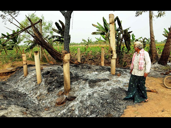 పెనుమాకలో..