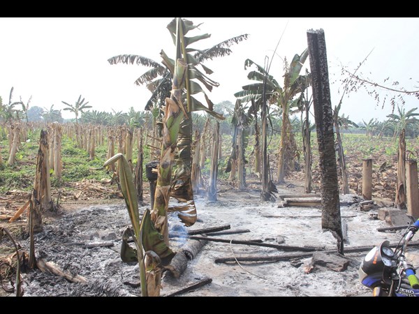 ఉండవల్లిలో..