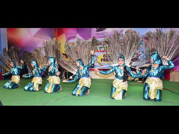 నుమాయిష్