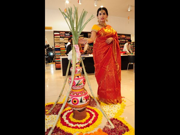 ఫెస్టివ్ కలెక్షన్