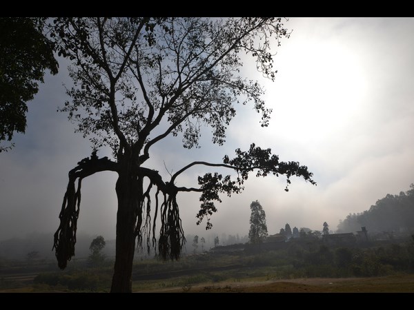 మంచు గుప్పెట్లో విశాఖ