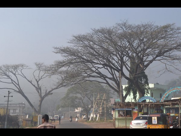 మంచు గుప్పెట్లో విశాఖ