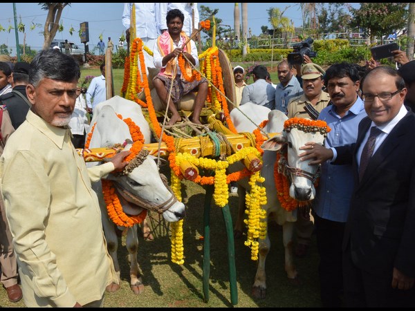 సంక్రాంతి