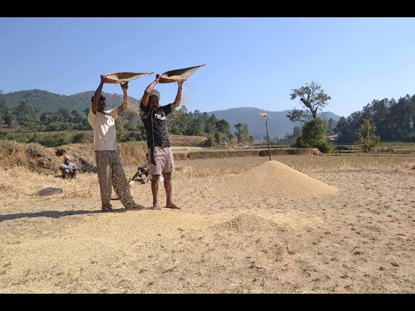 సంక్రాంతి