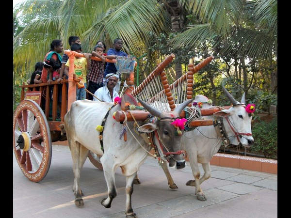 సంక్రాంతి