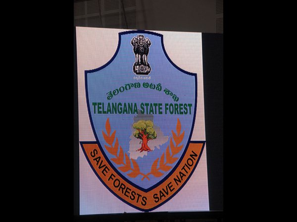  అటవీ శాఖ