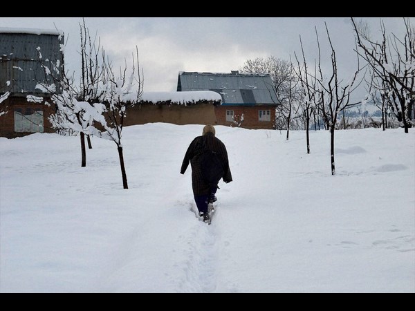  జమ్మూలో భారీగా కురుస్తున్న మంచు