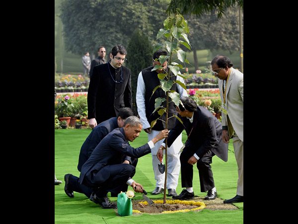 రాజ్‌ఘాట్ వద్ద మౌనంగా ప్రార్థన, రావి మొక్క నాటారు