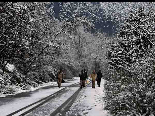 కాశ్మీరం