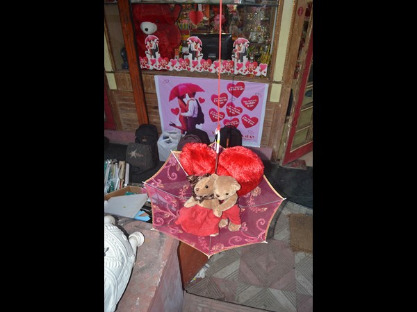 ప్రేమికుల రోజు స్పెషల్