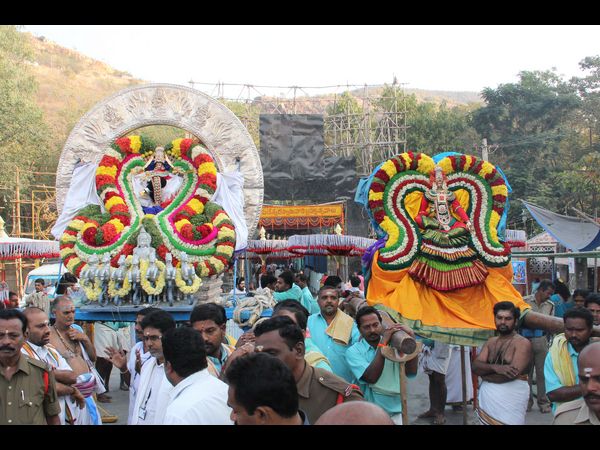 నటరాజ ఉత్సవం