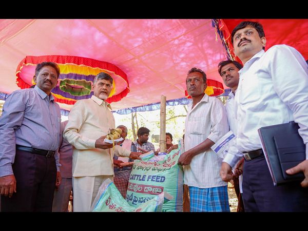 చంద్రబాబు