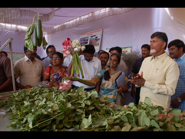 చంద్రబాబు