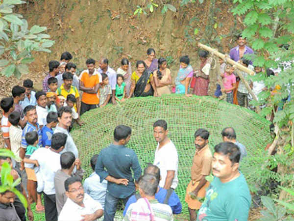 A leopard fallen into a well, rescued
