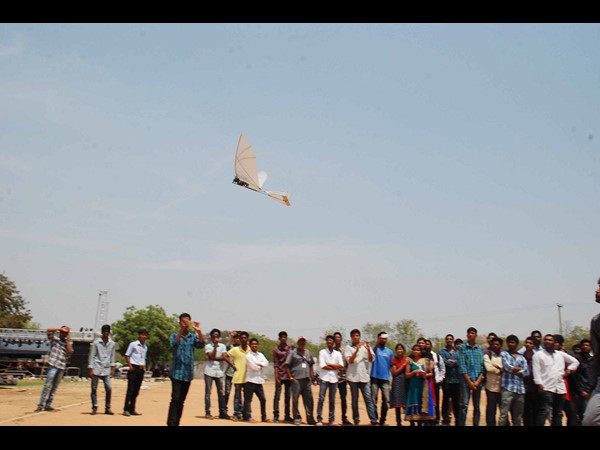 స్పెక్‌ఫెస్టా