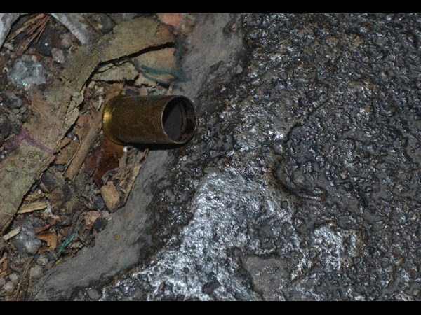 వెంటనే పారిపోయారు...