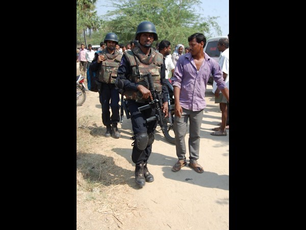ఆక్టోపస్, గ్రైహౌండ్స్ కూడా..