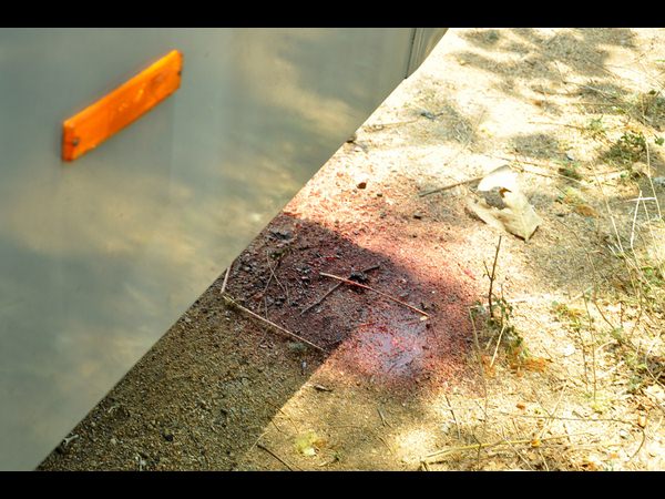  వికారుద్దీన్