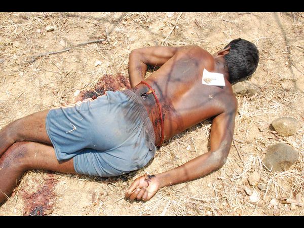 శేషాచలం