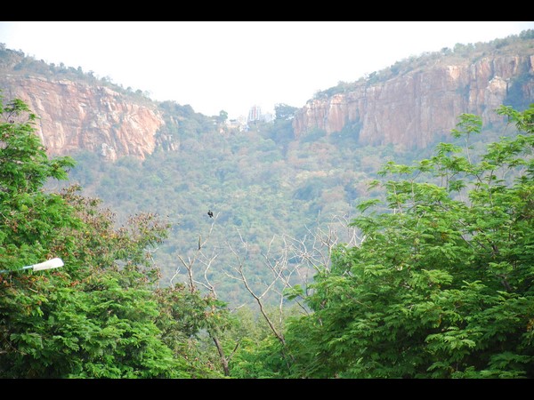 శేషాచలం ఎన్‌కౌంటర్